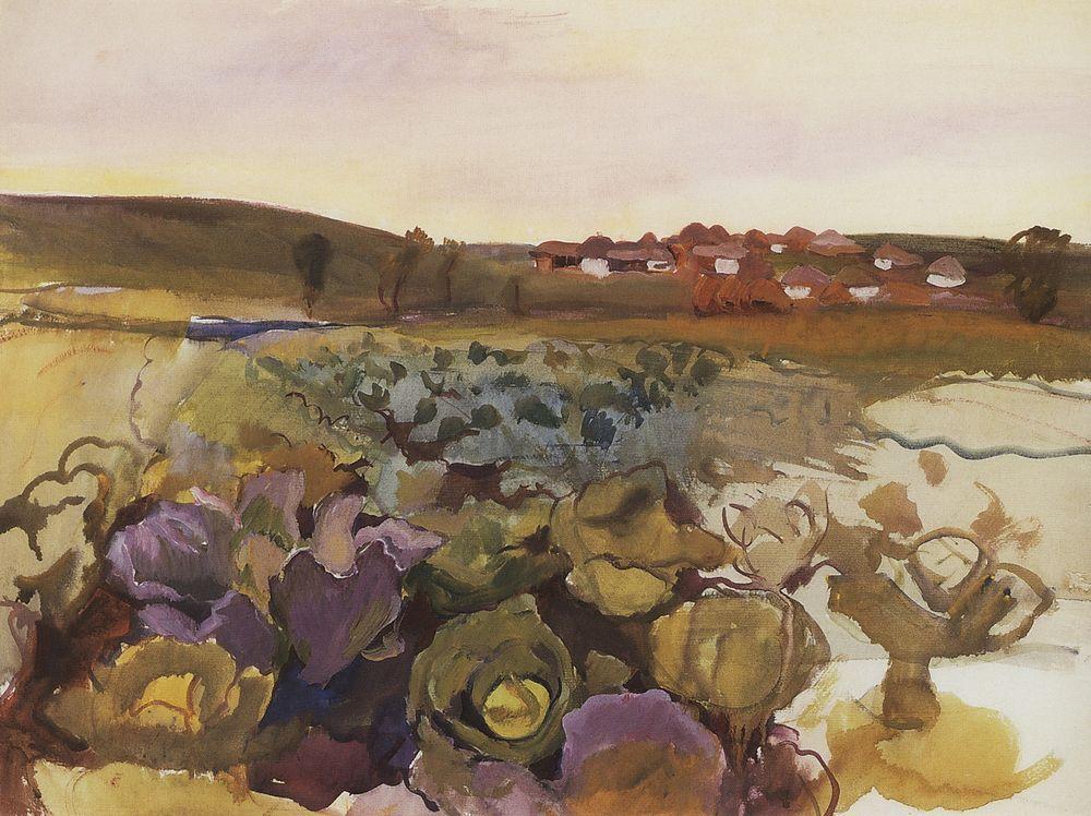 Cabbage. Village Neskuchnoye