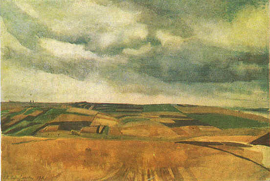 Fields in Neskuchnoye