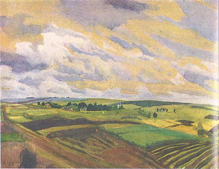 Landscape. Village Neskuchnoye