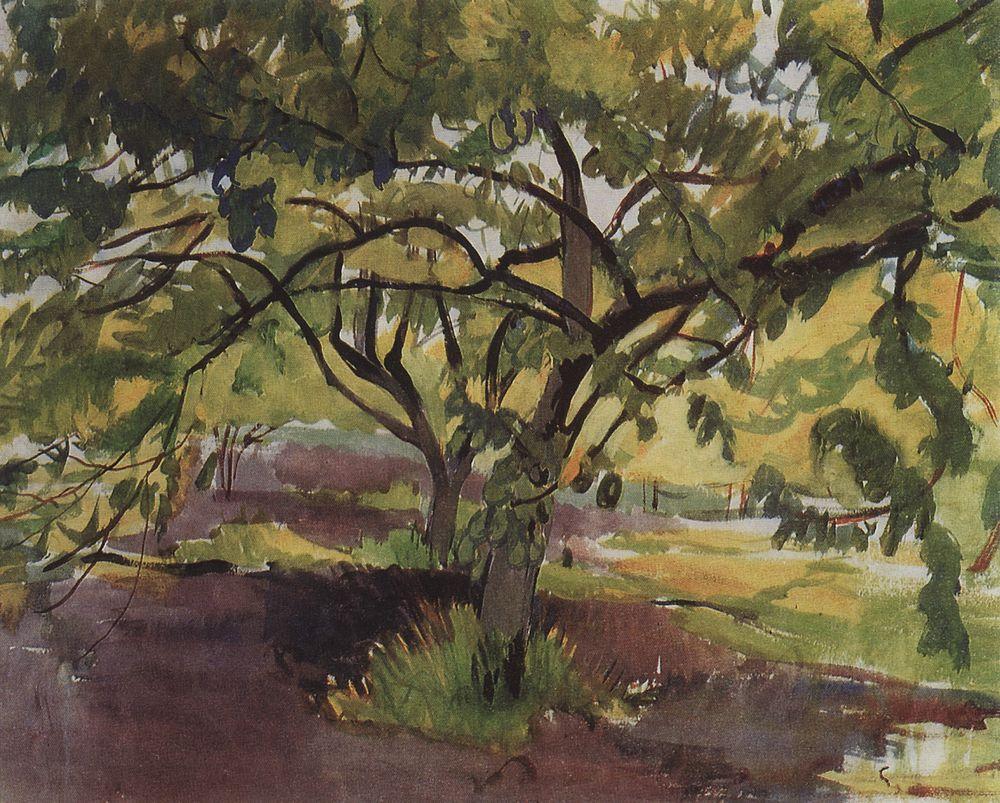 Orchard