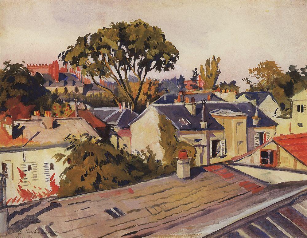 Versailles. The roofs of the city